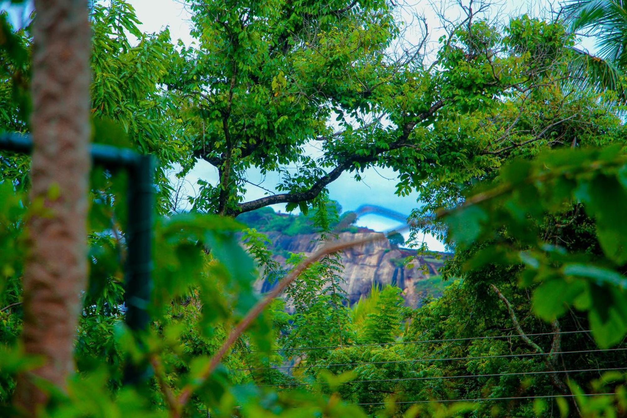 Chanaka Holiday Inn Sigiriya Ngoại thất bức ảnh