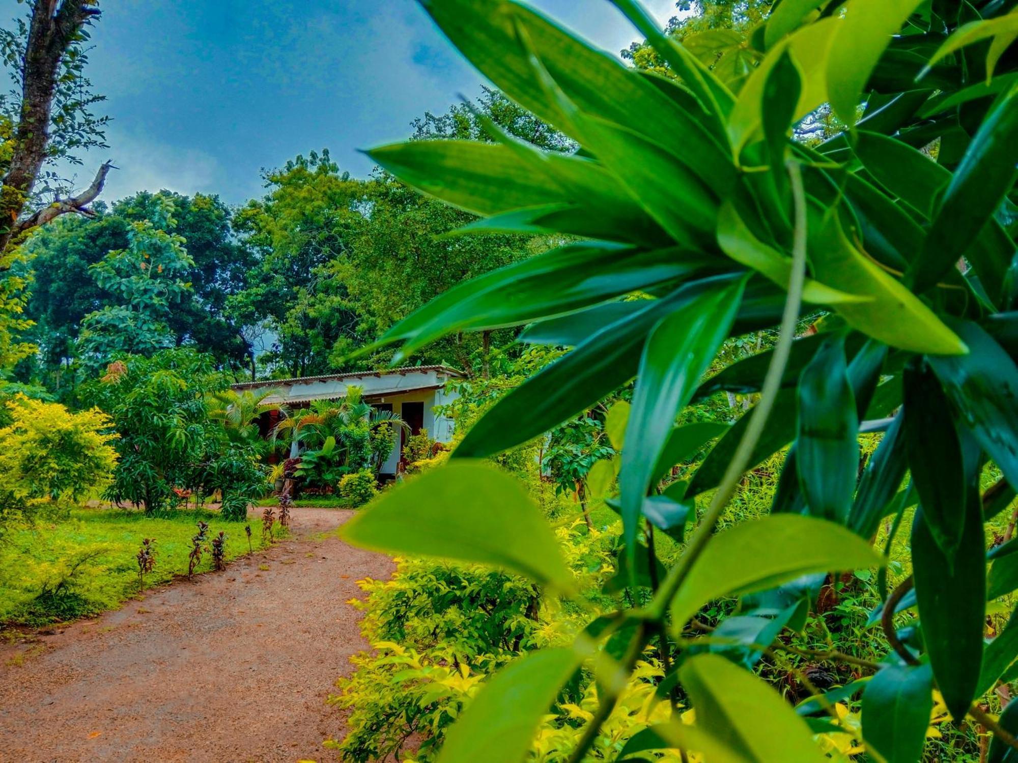 Chanaka Holiday Inn Sigiriya Ngoại thất bức ảnh