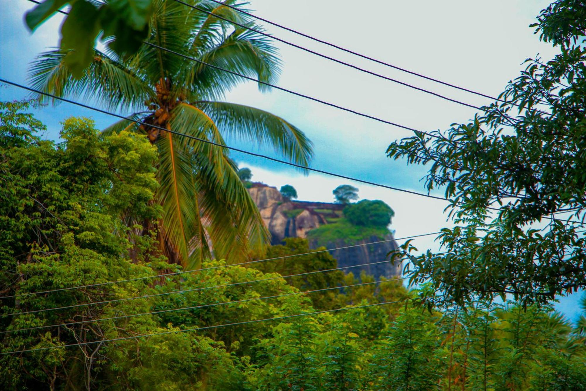 Chanaka Holiday Inn Sigiriya Ngoại thất bức ảnh
